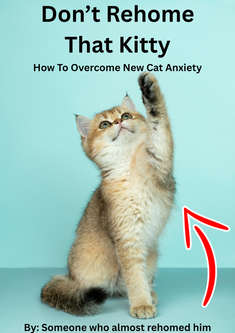Don't Rehome That Kitty – How to Overcome New Kitty Anxiety