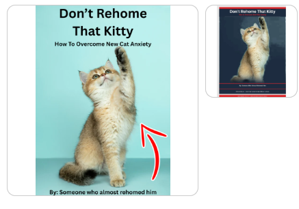 Don't Rehome That Kitty – How to Overcome New Kitty Anxiety